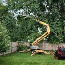 Best Hedge Trimming  in Greens Farms, CT